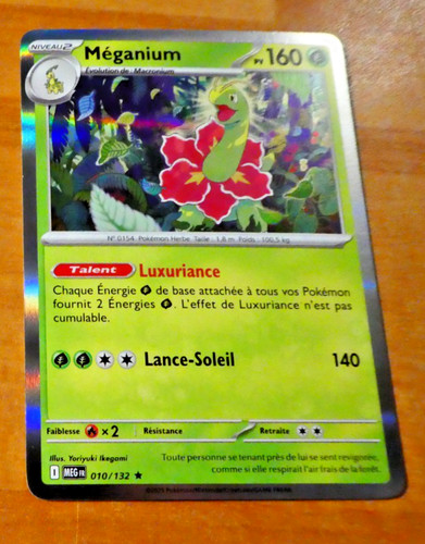 Pokemon mega evolution card - pokemon,