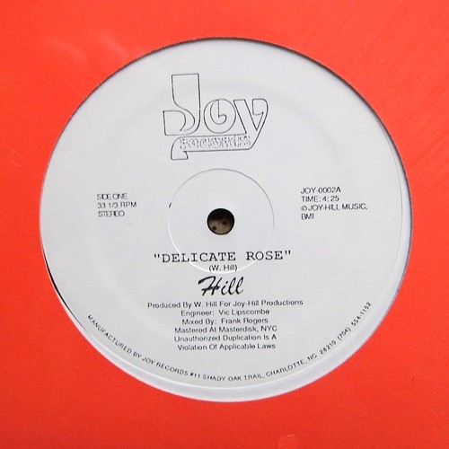 Hill delicate rose rare - hill, "delicate