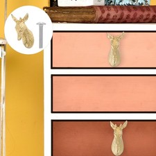  Bouton de meuble tête de