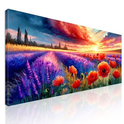 Peinture botanique coquelicots - botanique,