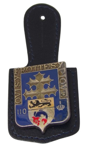 Insigne pucelle 110ème