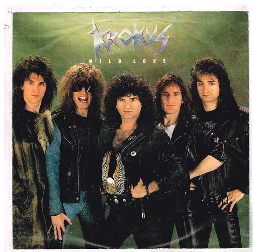 Krokus wild love - krokus,