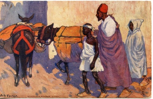 Carte postale illustrateur - postale,