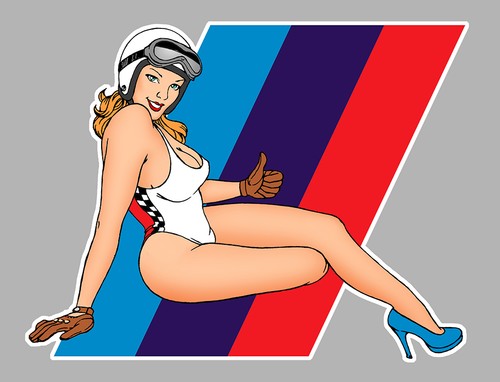 Pinup bmw motorsport 9cm - pinup,