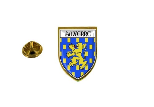 Pins pin badge - pin,
