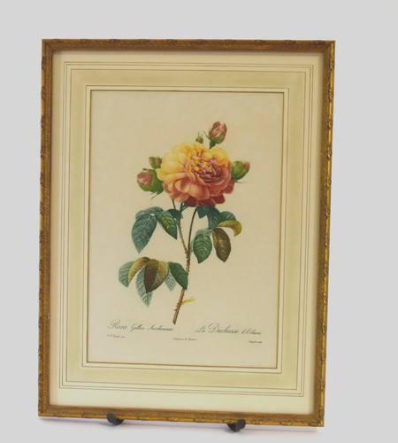 Framed Engraving Joseph Pierre