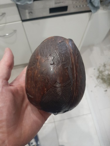 Noix coco sculptée corozo - sculptée,