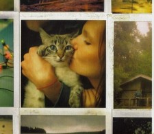 Cd Cocoon My Friends All Died