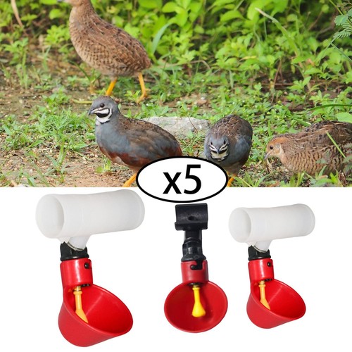 Pièces abreuvoirs poulet - 5,