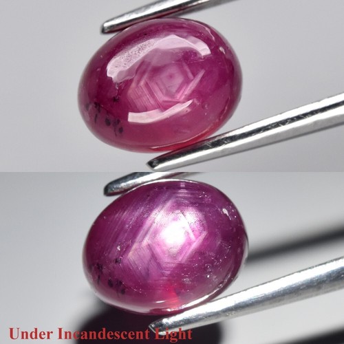 Cabochon ovale 91 ct - 💎,