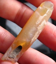 O&co Fossile pipe belemnite