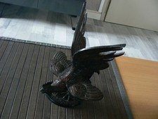 COQ EN REGULE   / VOIR DETAIL