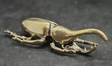 Coléoptère rhinocéros