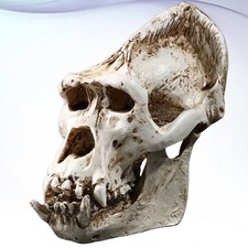  1PC mode crâne de crâne