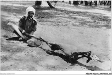 AEQP9-ALGERIE-0828 - scenes et types - un méchoui