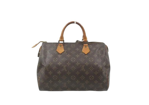 Louis vuitton speedy monogram - louis,