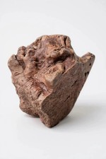 FRIANDISE POUR CHIEN Racine de