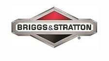 Set De Segments 0.20 ORIGINALE BRIGGS & STRATTON 590403