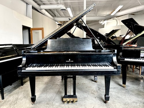 Steinway grand piano 7 - steinway,