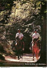 Animaux - Chevaux - Bouches du Rhone - Garde à cheval du Département - CPM - Voi