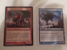 Magic the Gathering Cards Duo