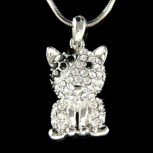 Bouledogue bull terrier chien - bull,