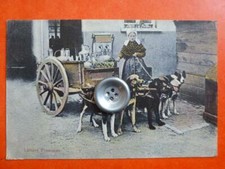 CPA attelage chiens - Laitière flamande