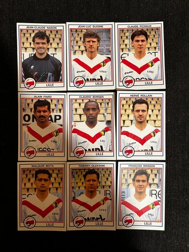 Vignettes panini championnat - vignettes,