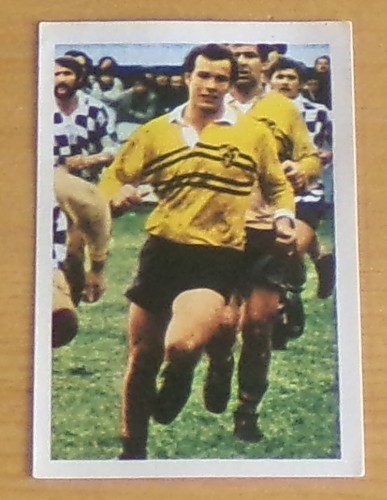 1972 michel luciani - michel,