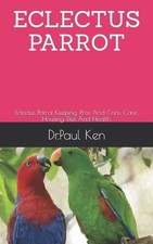 Dr Paul Ken Eclectus Parrot