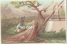 Chromo PILLARD SOEURS