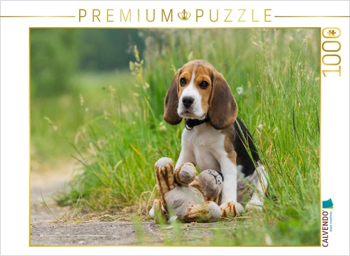 Calvendo puzzle beagle welpe - calvendo,