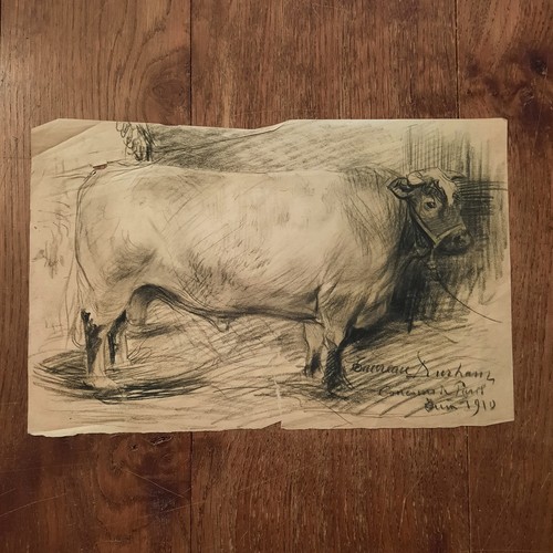 Dessin ancien animalier fond - ancien,
