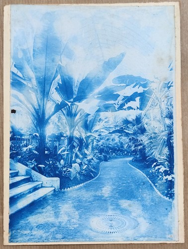 Tirage cyanotype ancien - tirage,