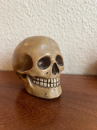 Memento mori crâne - crâne, terre