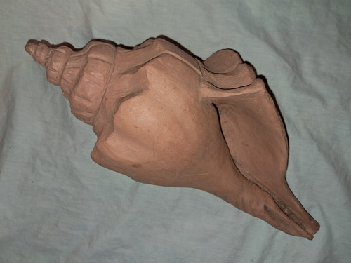 Ancien grand coquillage - grand,