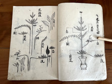 IKEBANA Livre japonais ILLUSTRÉ du XIXes. Méthode préceptes 40 feuilles repliés