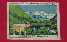 CHROMO PUPIER 1930 ALBUM