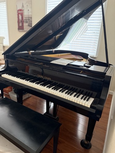 Young chang piano - chang, great