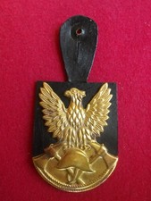 insigne de pompiers ,pucelle