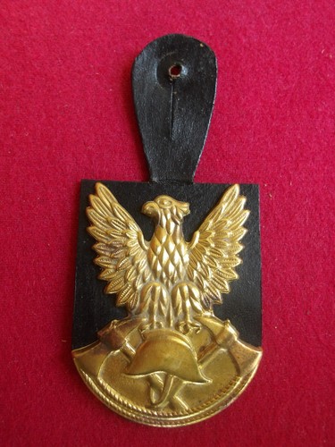 Insigne pompiers pucelle - de,
