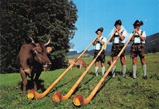 Carte 10x15cm POSTCARD ALLEMAGNE GERMANY DEUTSCHLAND ALPHORNBLASER cor des alpes