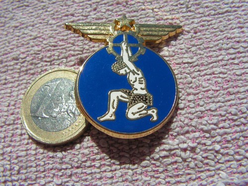Aviation armee air insigne - ,