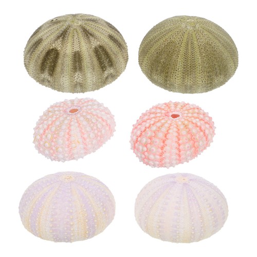 Pcs accessoires pour - 6,