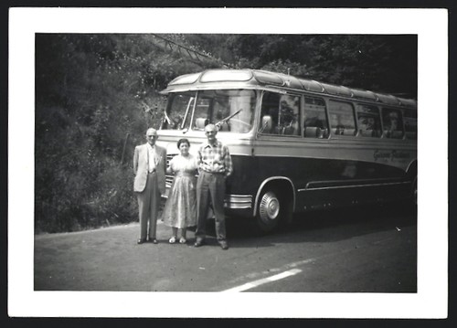 Photographie bus kässbohrer - bus,