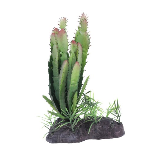 Terrarium tortue bol eau - tortue, d'eau