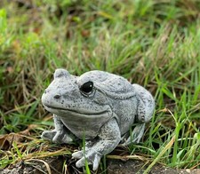 Statue de Pierre Grenouille