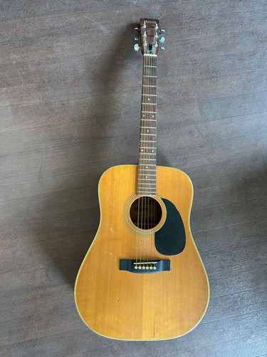 Guitare acoustique morris 18 - guitare, w-18