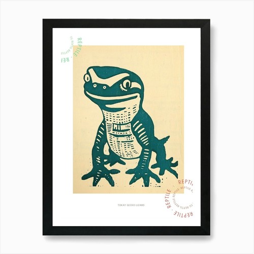 Tokay gecko lizard - gecko,