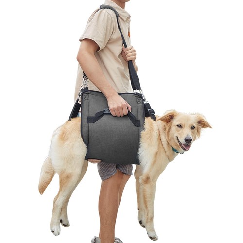 Porteur pour chien - chien, sac